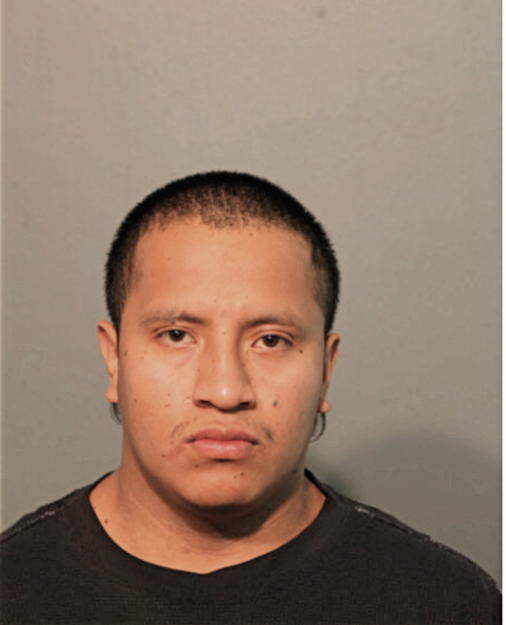 JOHNNY D GUALLPA, Cook County, Illinois
