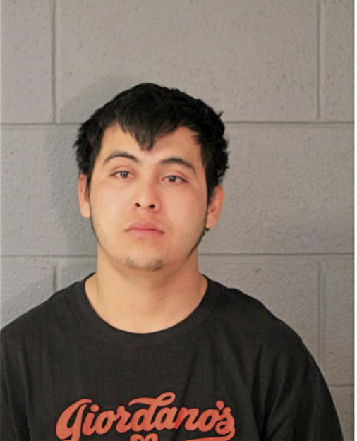 ALEJANDRO C HERNANDEZ, Cook County, Illinois