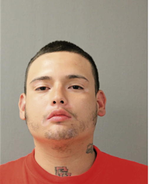 LUIS M HERNANDEZ, Cook County, Illinois