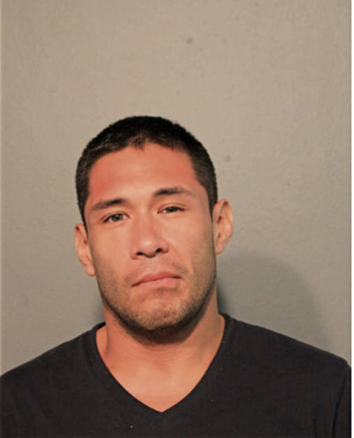 MICHAEL J MEJIA, Cook County, Illinois