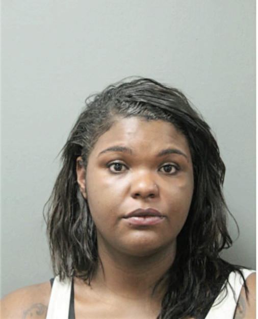 ARIELLE JOHNSON, Cook County, Illinois