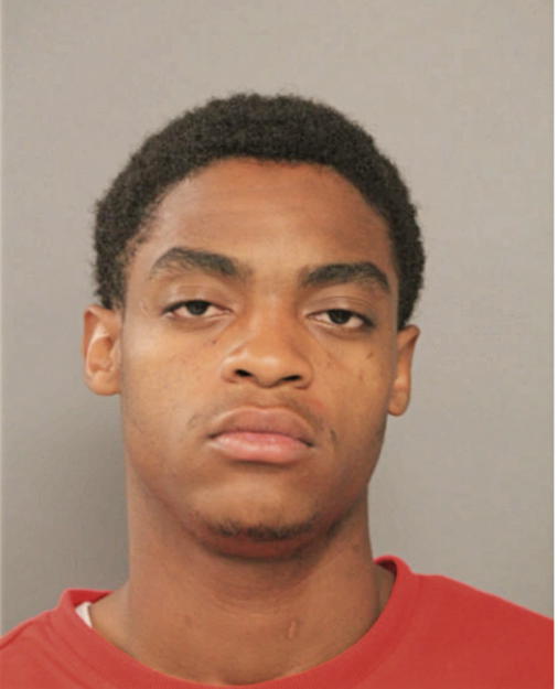 JAMES L JOHNSON, Cook County, Illinois
