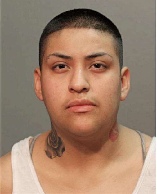 VIANNEY JUAREZ-LEON, Cook County, Illinois