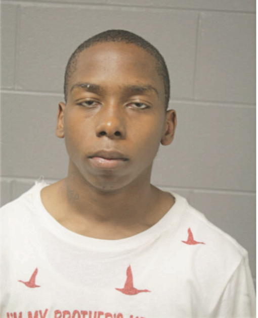 ROBERT C MC CLINTON, Cook County, Illinois