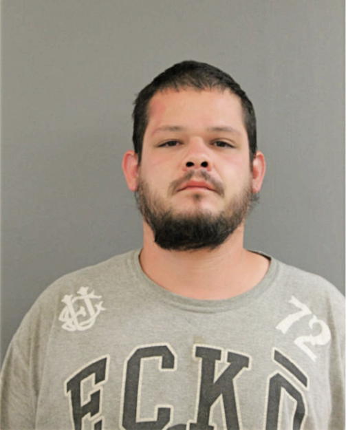 DEMETRIO MENDOZA, Cook County, Illinois