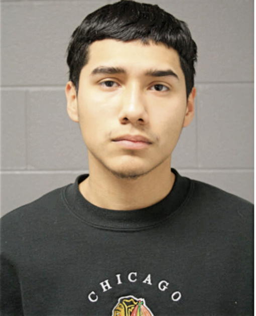 LUIS A PALMA, Cook County, Illinois