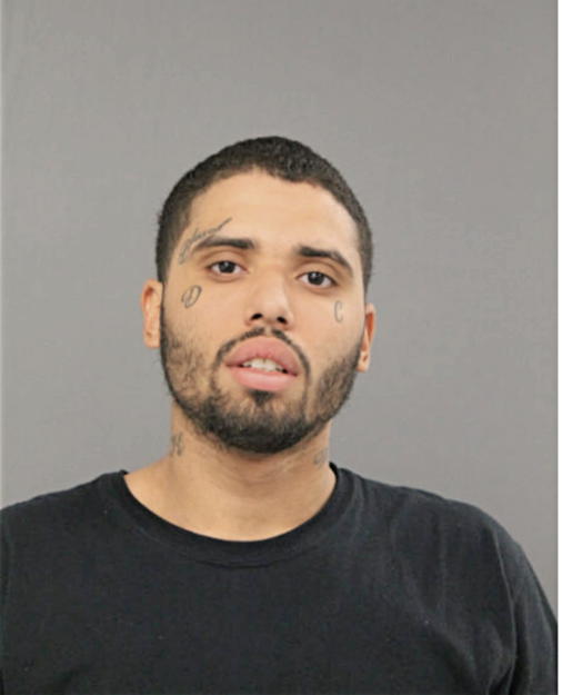 JOSEPH M ROMAN, Cook County, Illinois