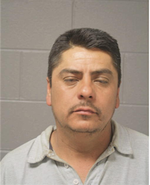 FERNANDO ROMANO, Cook County, Illinois