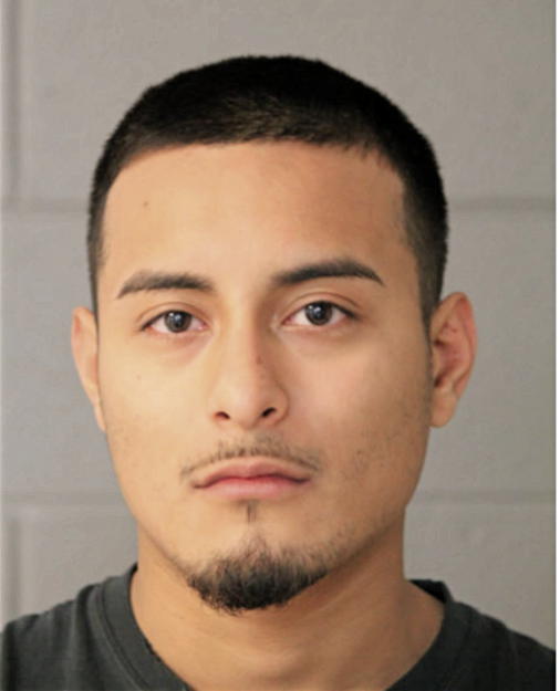 JUAN D RUIZ-DOMINGUEZ, Cook County, Illinois