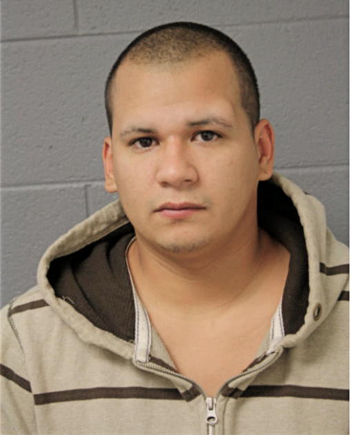 MARTIN D SOSA, Cook County, Illinois