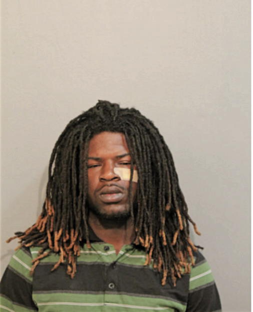 ANFERNEE G STEWART, Cook County, Illinois