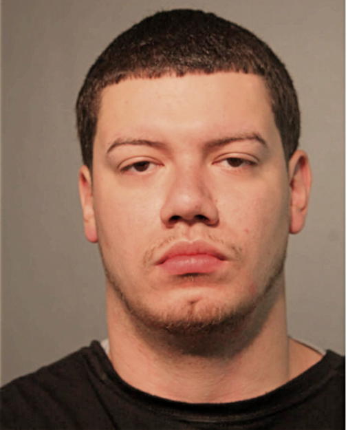 ANGEL LUIS TORRES, Cook County, Illinois