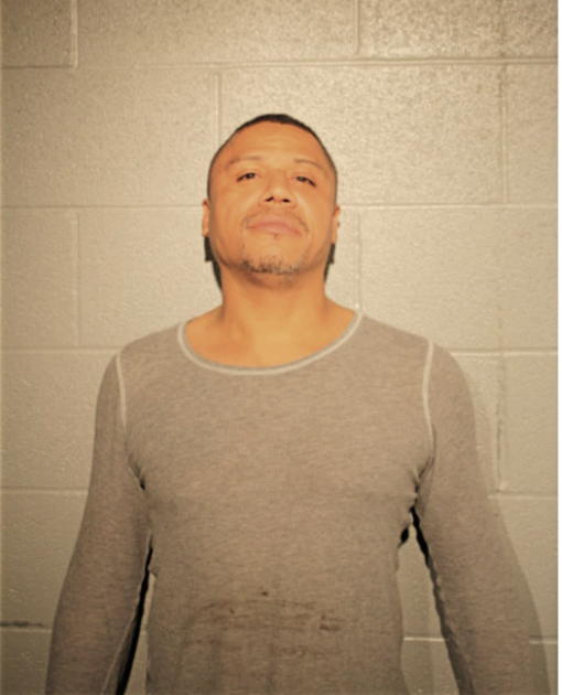 SHAWN L WILLIAMS, Cook County, Illinois