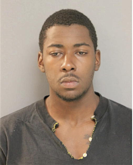 DANIEL L WILLIAMSON, Cook County, Illinois