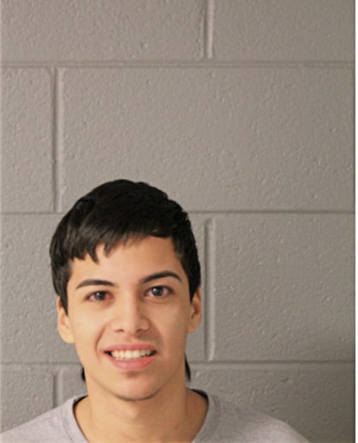 ISMAEL ALFARO, Cook County, Illinois