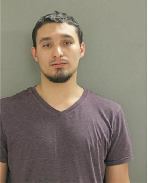 GABRIEL E ANTONGIORGI, Cook County, Illinois