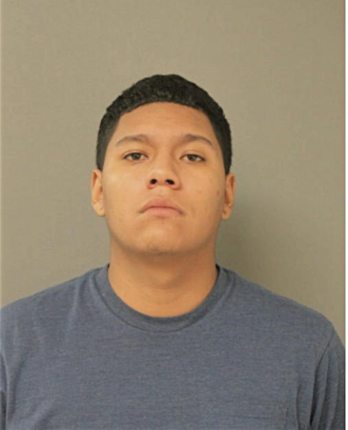 CRISTIAN B AUDANTE, Cook County, Illinois