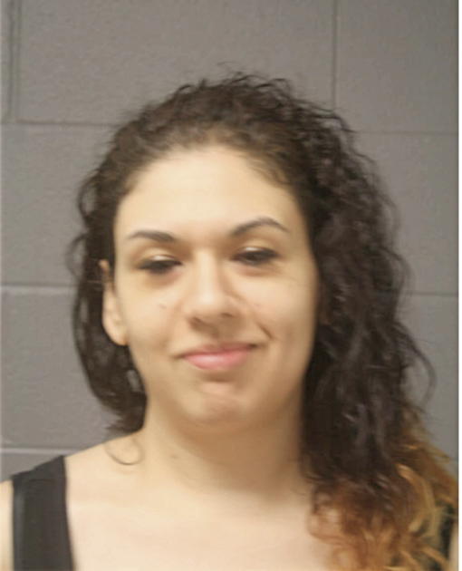 SOFIA G CHAIDEZ, Cook County, Illinois
