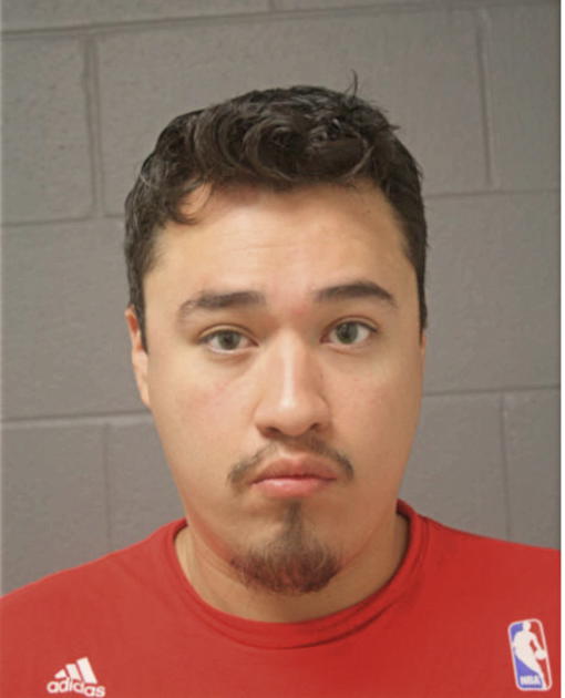 OSCAR CORTEZ, Cook County, Illinois