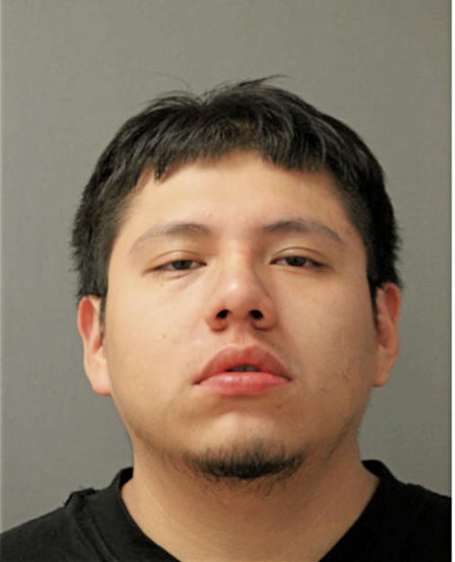 HONORATO A DANTONY, Cook County, Illinois