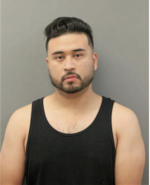 PABLO FLORES, Cook County, Illinois