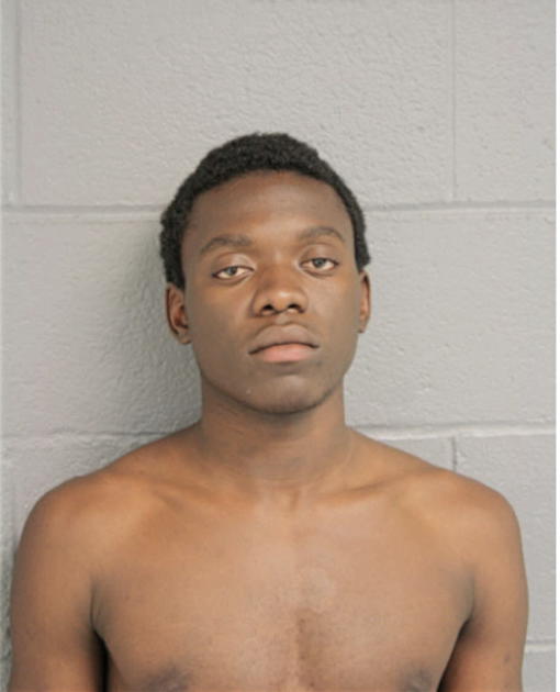 TERRANCE T FREEMAN, Cook County, Illinois