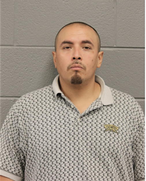 JOSE P GARCIA, Cook County, Illinois