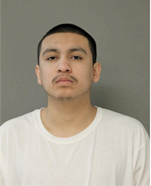 JESUS C GONZALEZ, Cook County, Illinois