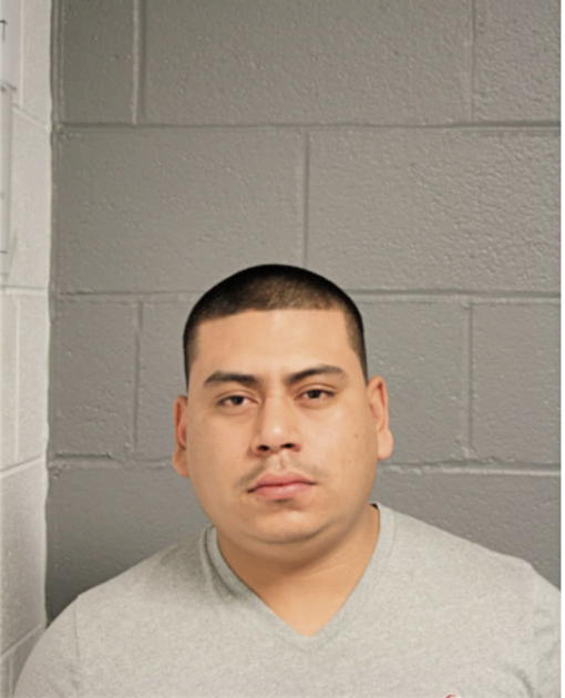 ROBERTO A GUERRERO, Cook County, Illinois