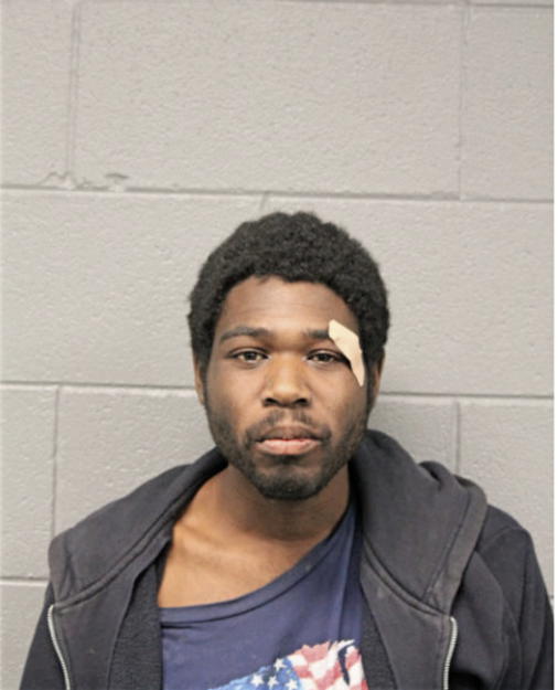 TERRANCE T JONES, Cook County, Illinois