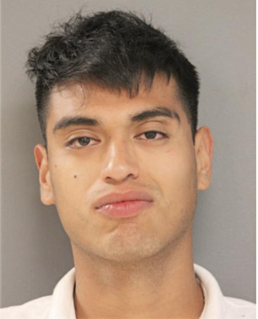 ROGELIO SAIDEL LARA, Cook County, Illinois