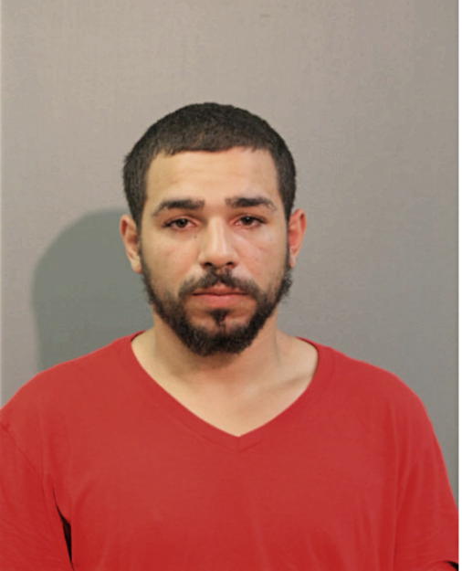 GREGORIO V LOZADA, Cook County, Illinois
