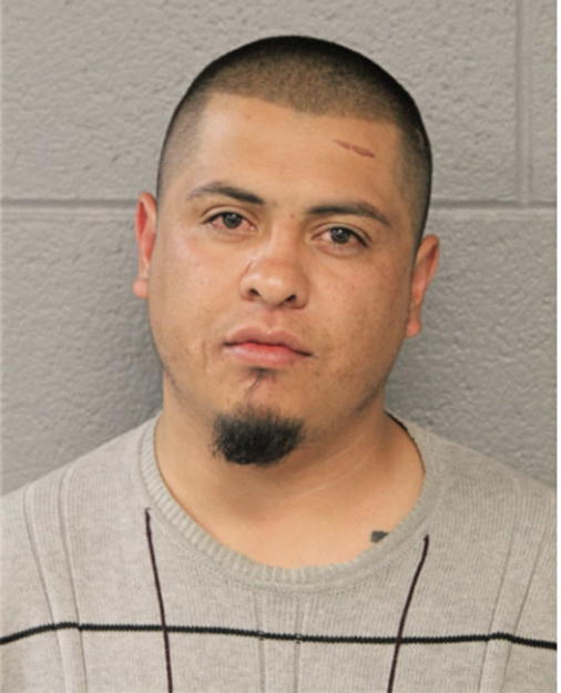 JUAN C MERAZ, Cook County, Illinois