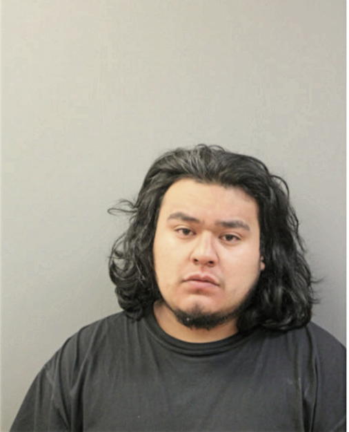 EDGAR I NIEVA, Cook County, Illinois