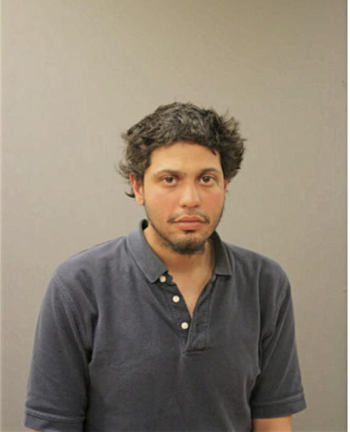 FABIAN M PACHECO, Cook County, Illinois
