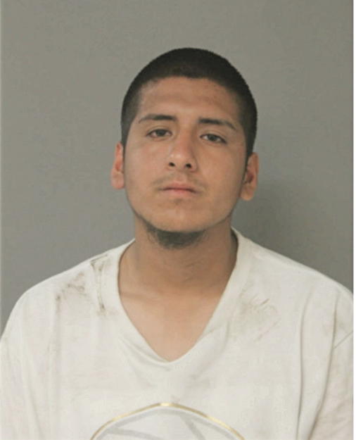 JOHN PERALTA, Cook County, Illinois