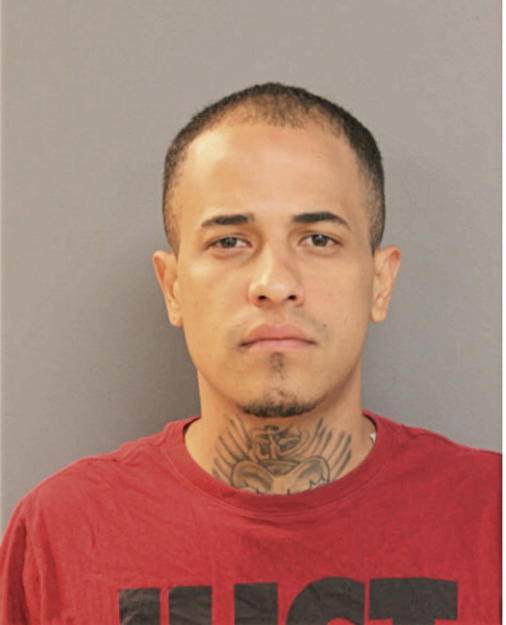 JOSE R POMALES-CANDANEDO, Cook County, Illinois