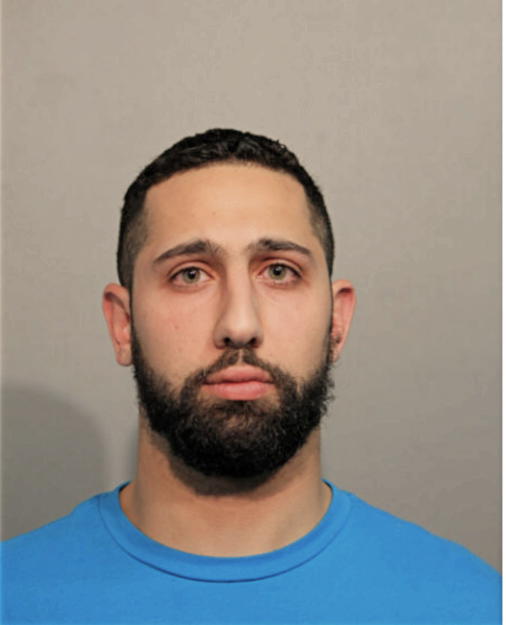 SHADI D RAMINI, Cook County, Illinois