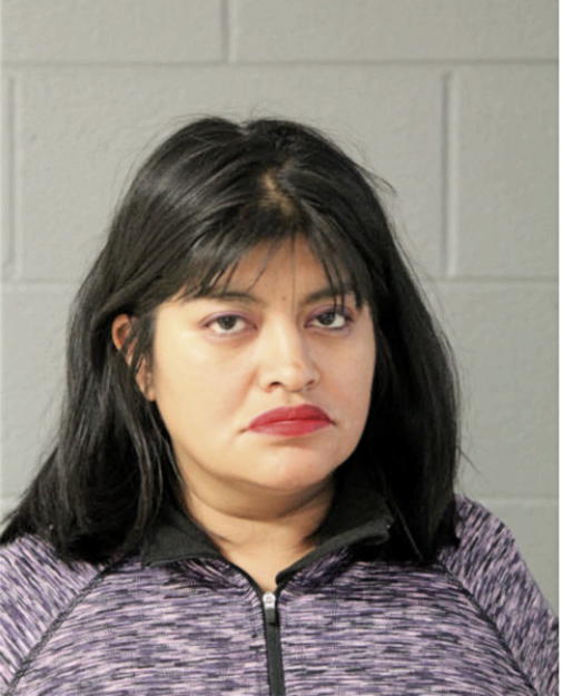 VANESSA R RINCON, Cook County, Illinois