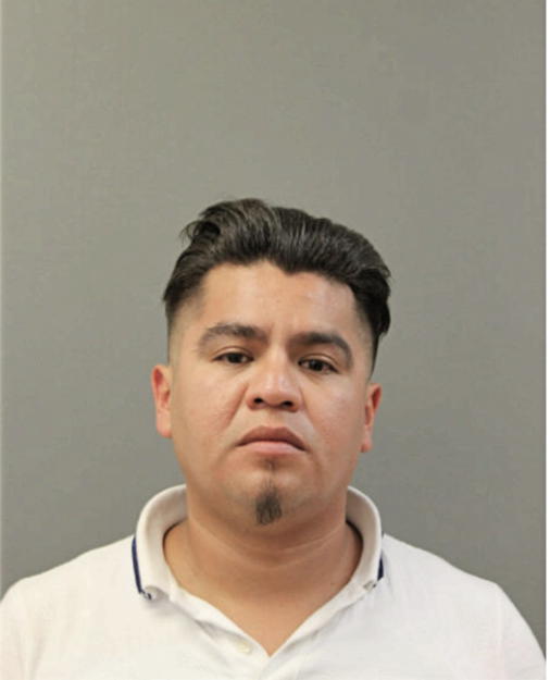 JORGE ROMAN, Cook County, Illinois