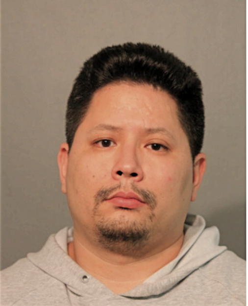 MARK SNOW, Cook County, Illinois