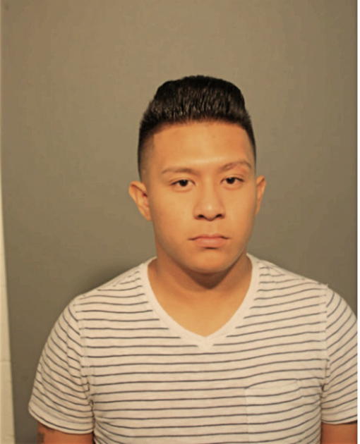 JAVIER TAPIA, Cook County, Illinois