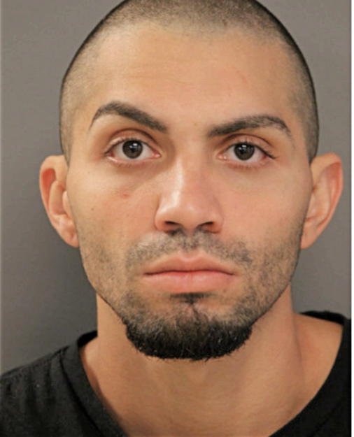 JOSE GREGORIO TOLEDO-QUILES, Cook County, Illinois