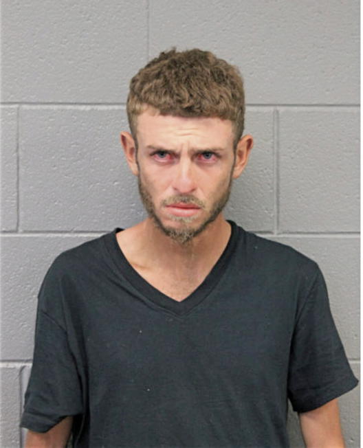 MITCHELL M VAZQUEZ, Cook County, Illinois