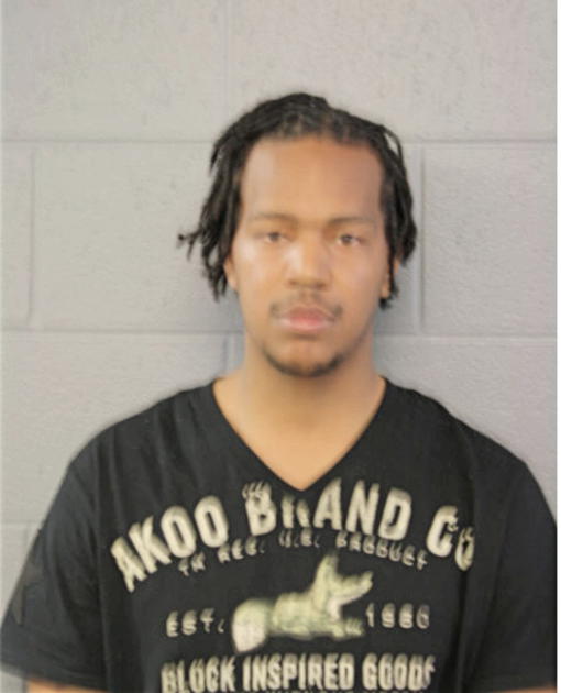 DAVID T WILLIAMS, Cook County, Illinois