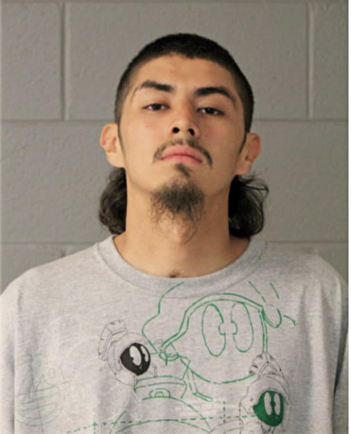 JOSE E ABEJA, Cook County, Illinois