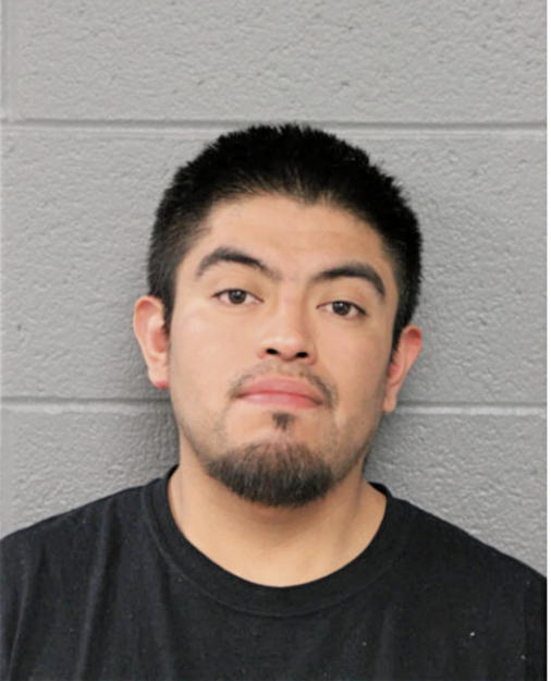 ALFREDO ARRIAGA, Cook County, Illinois