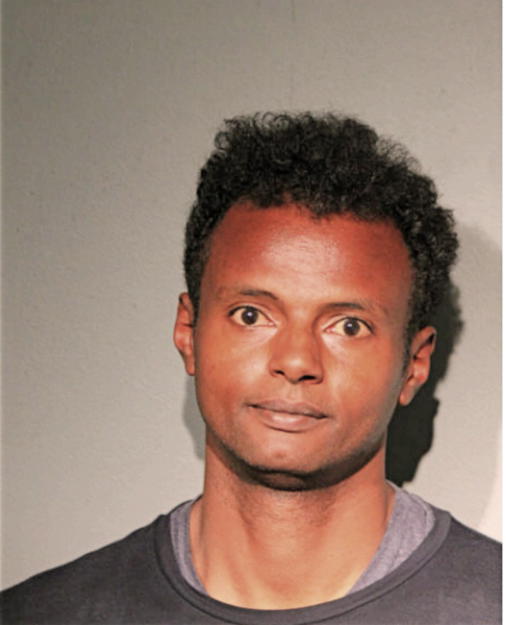 YONATHAN AYALEW, Cook County, Illinois