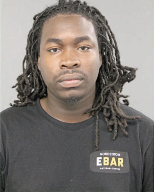 BRANDON ELLIS, Cook County, Illinois