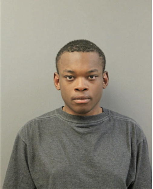 OLUMIDE FOLARIN, Cook County, Illinois